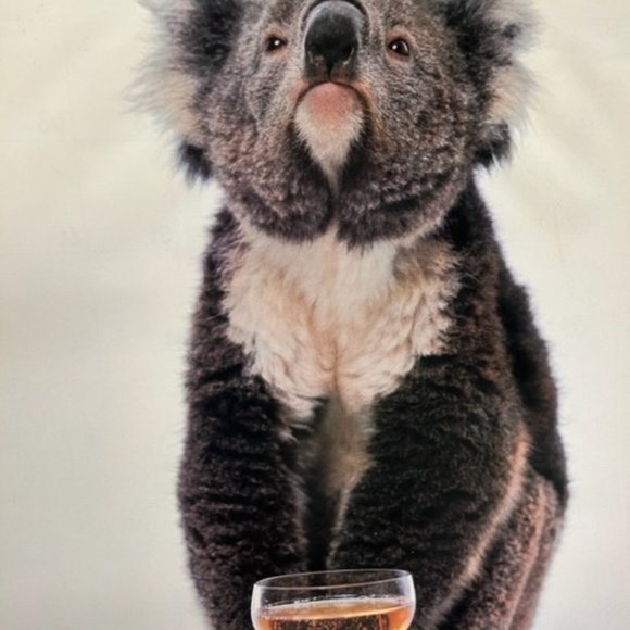 VTG "Sydney", the Qantas Koala Bear 1985 Calendar 12x12" - Picture 9 of 9